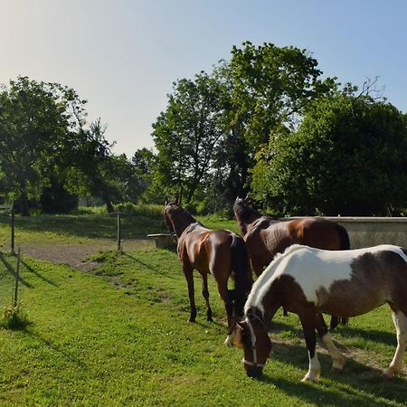 Farm Stay Zevnik Brežice Dış mekan fotoğraf