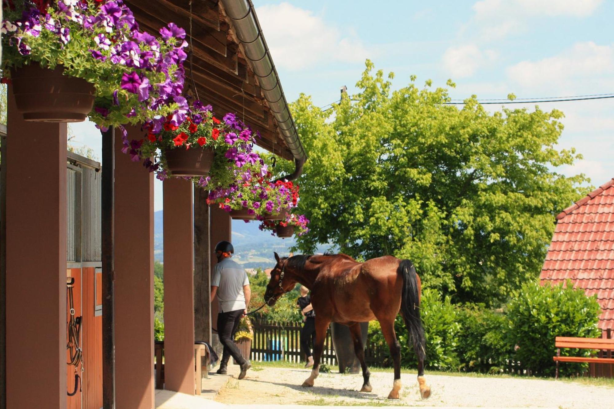 Farm Stay Zevnik Brežice Dış mekan fotoğraf
