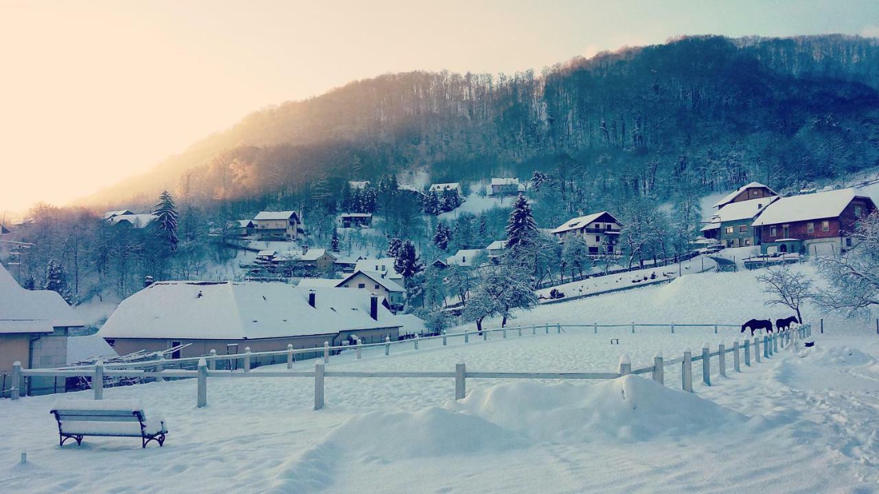 Farm Stay Zevnik Brežice Dış mekan fotoğraf